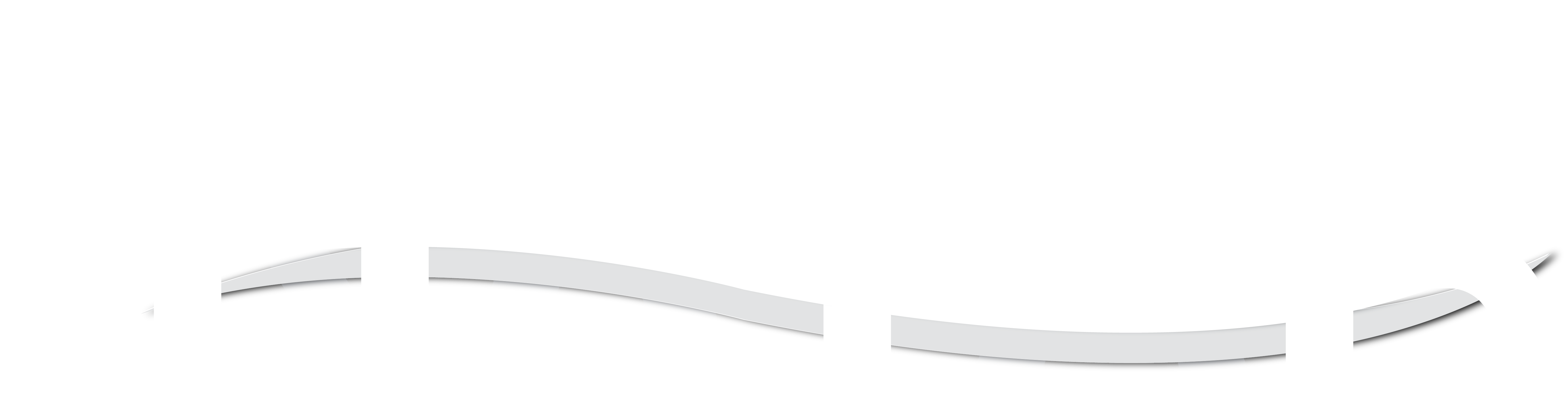 logo_nayar